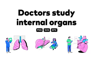 Médicos estudam grandes órgãos internos Pacote de Ilustrações