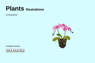 Plantas Pacote de Ilustrações