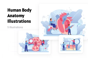 Anatomía del cuerpo humano Paquete de Ilustraciones