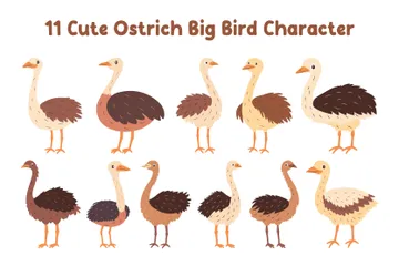 Autruche mignonne, gros oiseau Pack d'Illustrations