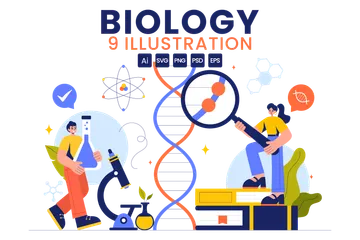 Biologie Illustrationspack