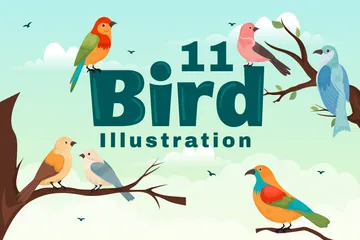 Bird Animal Illustration Pack