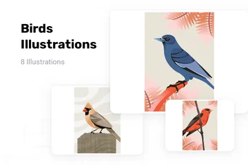 Birds Illustration Pack