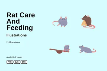 Cuidado y alimentación de ratas Paquete de Ilustraciones