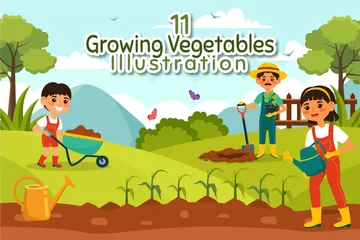 Cultivo de vegetais Pacote de Ilustrações