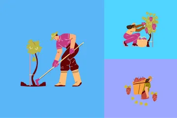 Cultivo e colheita de uvas Illustration Pack