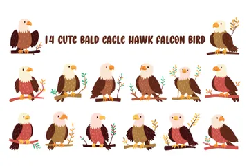 Cute Bald Eagle Hawk Falcon Bird Illustration Pack