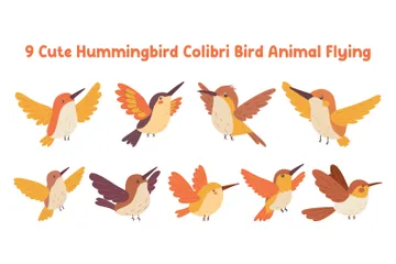 Cute Hummingbird Colibri Bird Animal Flying Illustration Pack