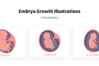 Embryo Growth