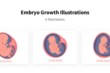Embryo Growth Illustration Pack