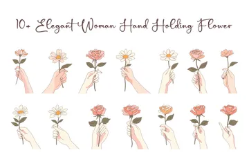 Main de femme tenant une fleur Pack d'Illustrations