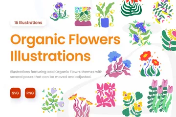 Fleurs biologiques Pack d'Illustrations