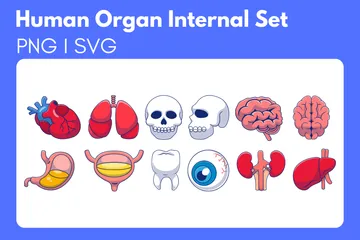Human Organ Internal Illustration Pack