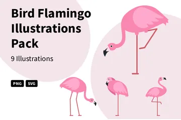 Flamant Oiseau Illustration Pack