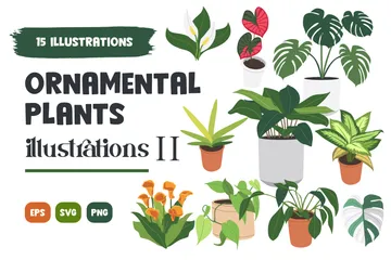 Plantas ornamentais Pacote de Ilustrações