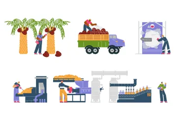 Proceso de producción de aceite de palma Paquete de Ilustraciones