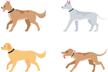 Diverses races de chiens Pack d'Illustrations