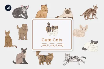 Süße katzen Illustrationspack