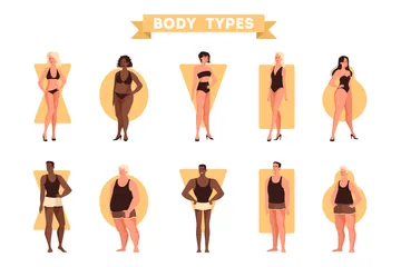 Tipos de cuerpo Paquete de Ilustraciones