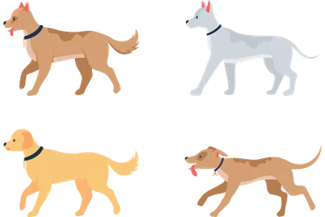 Várias raças de cães Pacote de Ilustrações