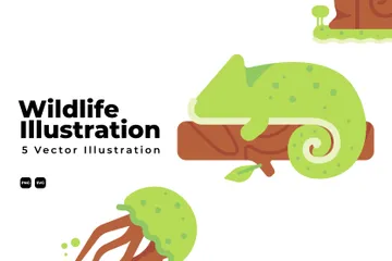 Wildlife Illustration Pack
