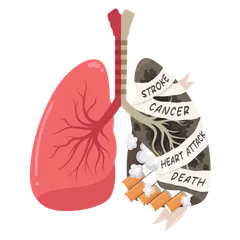 World No Tobacco Day Illustration Pack