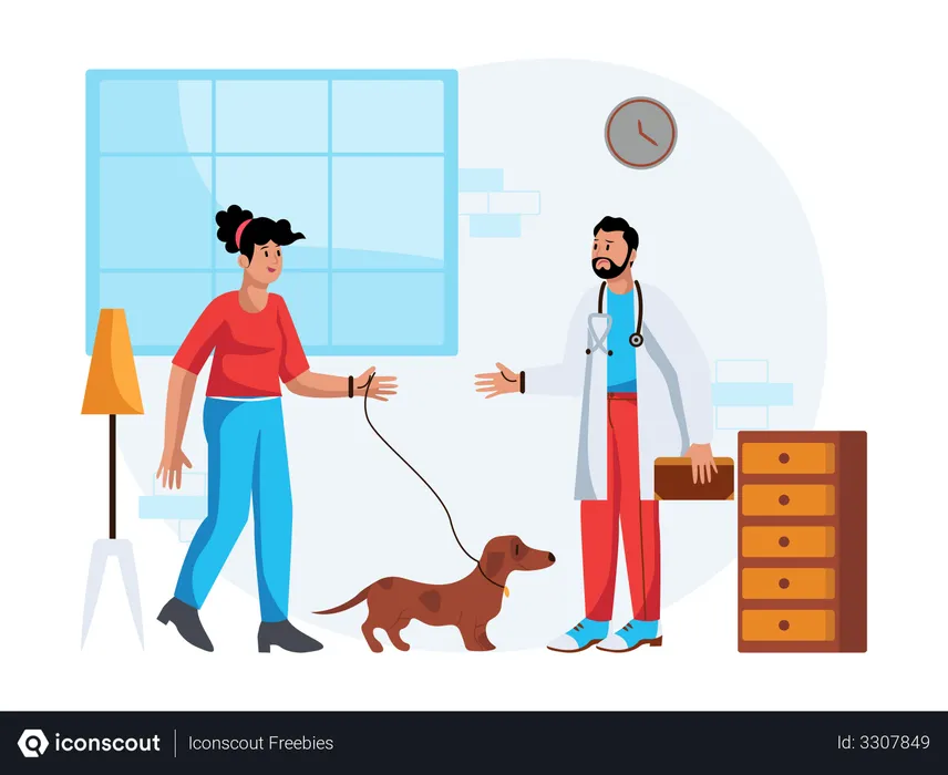 Free Routine checkup for pet  Illustration
