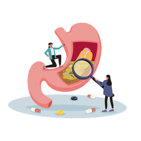 Free Doctor studying stomachache  Illustration