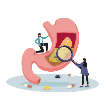 Free Doctor studying stomachache  Illustration