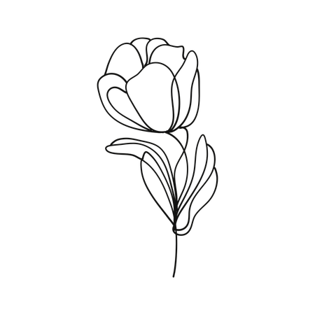 Free Flor de tulipán  Ilustración