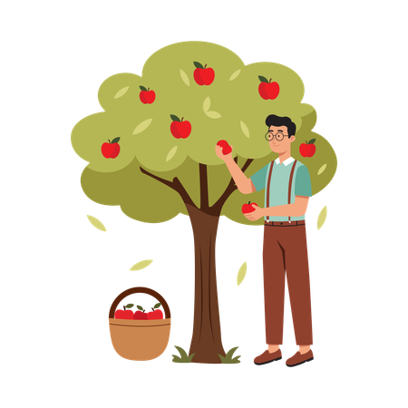 Free Homme cueillant des fruits d'un arbre  Illustration