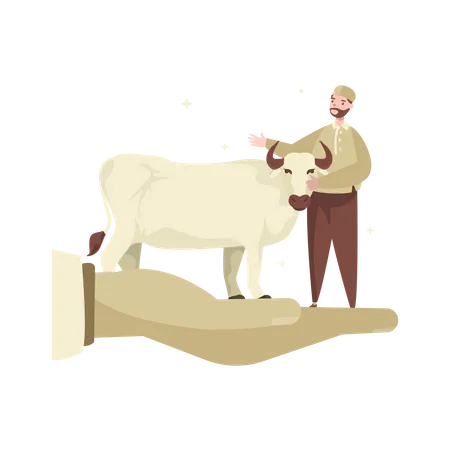 Free Muslim man with cow  Illustration