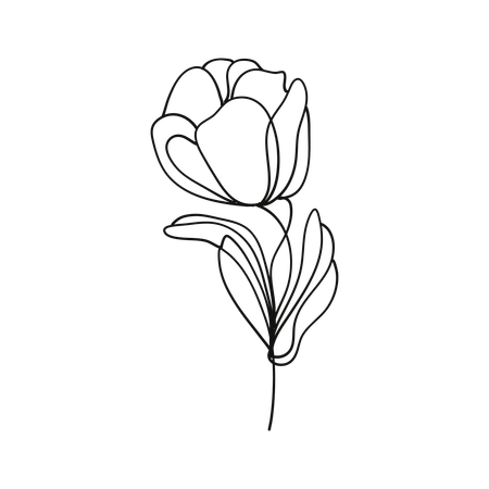 Free Tulip blossom  Illustration