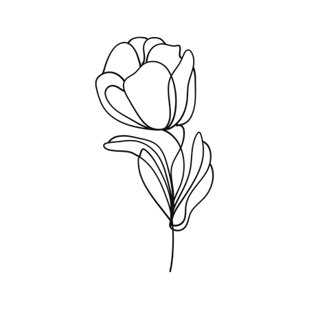 Free Tulip blossom  Illustration