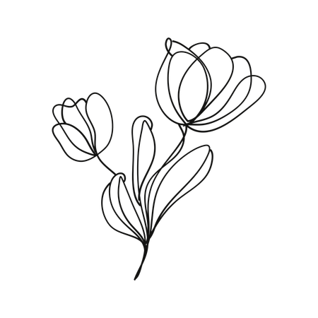 Free Tulip blossom  Illustration