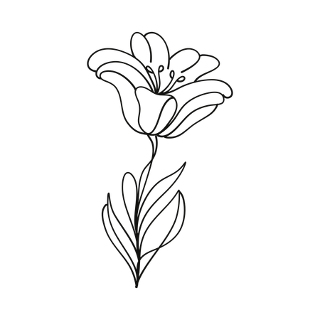 Free Tulip flora  Illustration