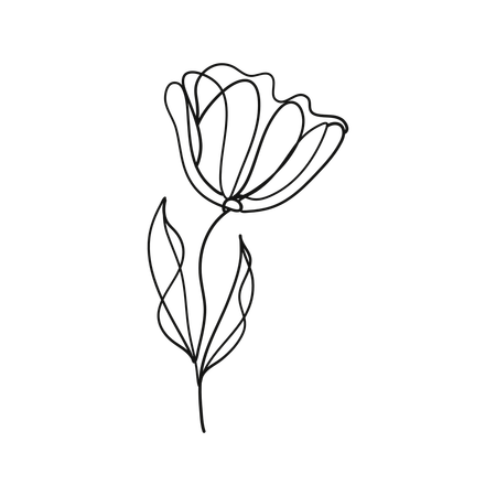 Free Tulip petals  Illustration