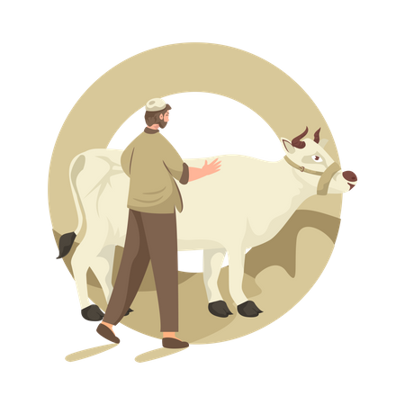 Muslim man wiping cow Illustration