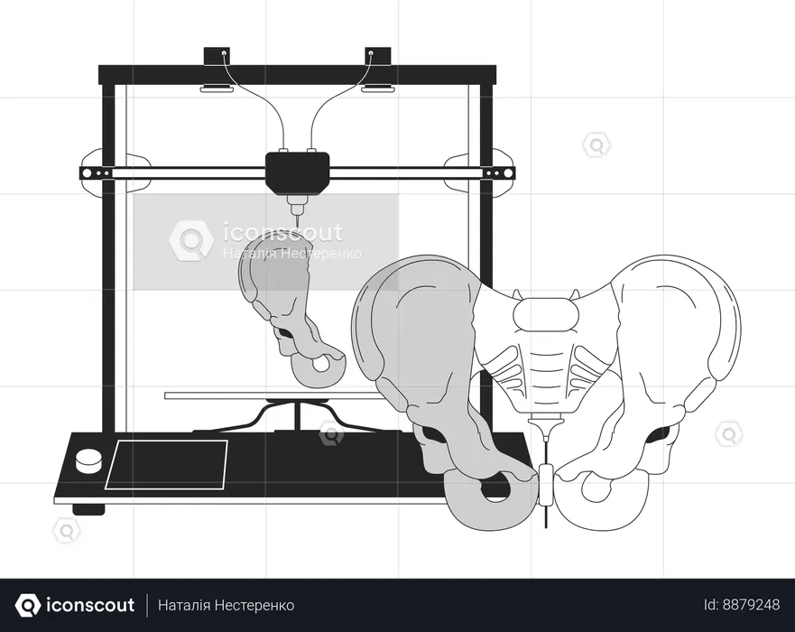 3D printing pelvis model  Illustration