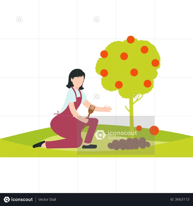 A girl digging a plant in a garden or a farm near a fruit tree  Illustration