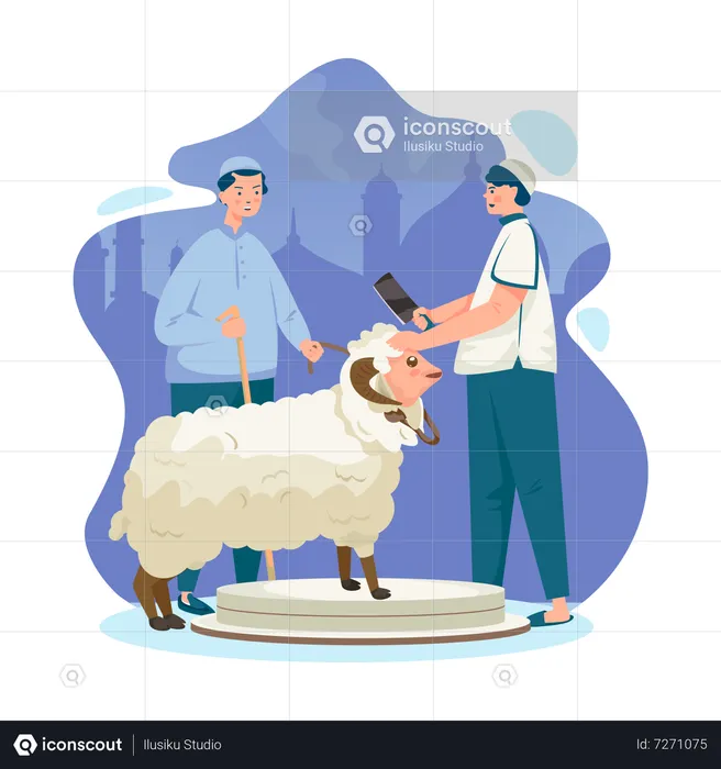 A Muslim wants to sacrifice a sheep  Illustration