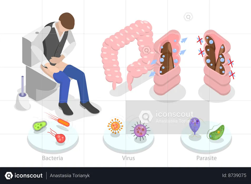 Abdomen Disease and Illness  Illustration