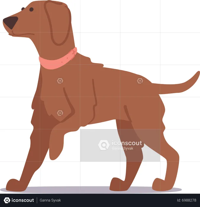 Adorable cachorro peludo marrón con expresión inocente y pose juguetona  Ilustración