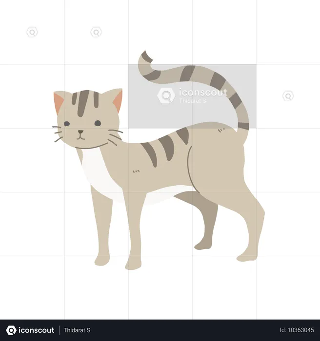 Adorable cat  Illustration