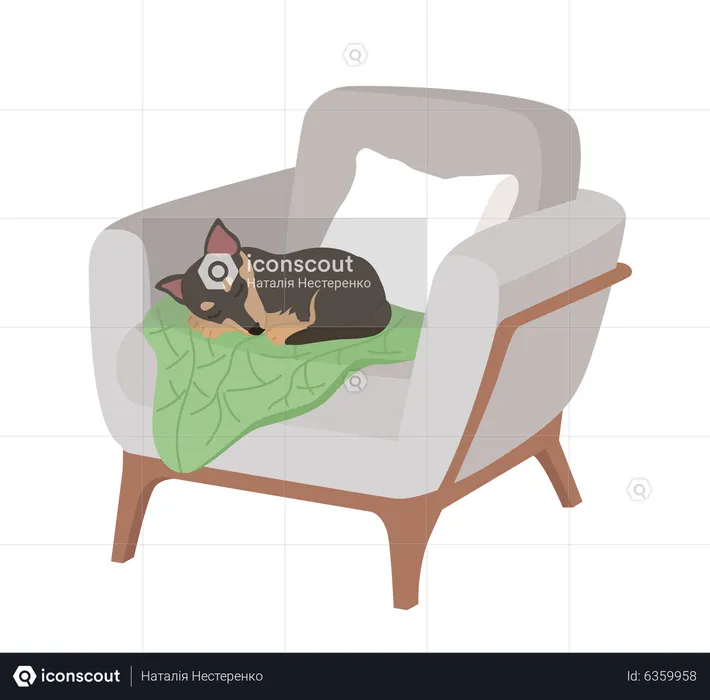 Adorable dog sleeping in comfortable armchair  Illustration
