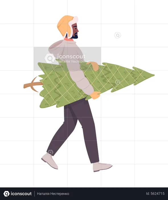 Adult man walking home with real Christmas tree  Illustration
