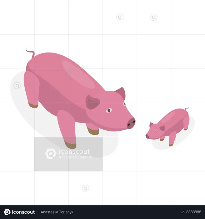 Adult pig taking care of baby pig  Illustration