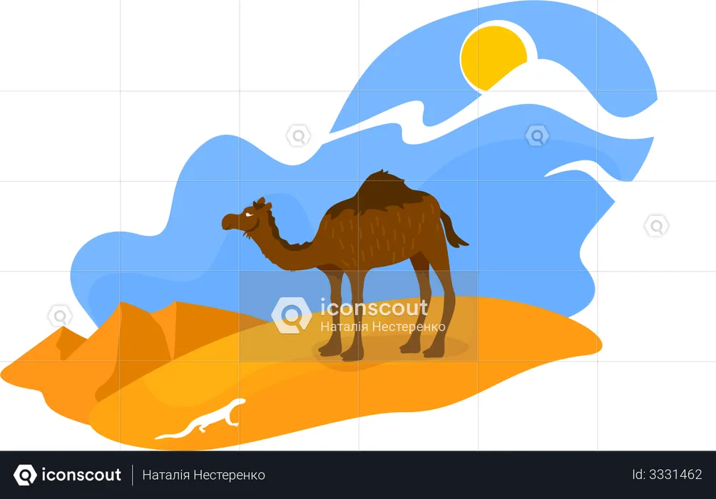 African desert  Illustration