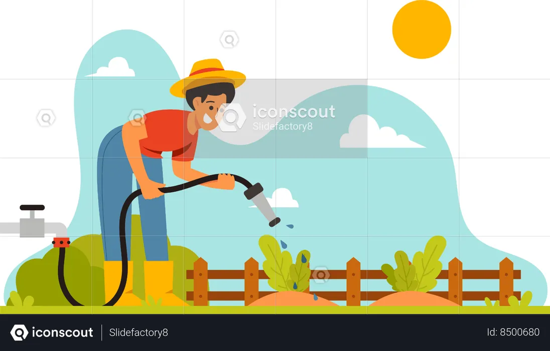 Agriculteur arrosant des légumes  Illustration