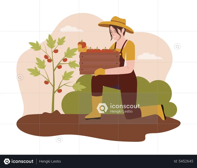 Agriculteur récoltant des pommes à la ferme  Illustration